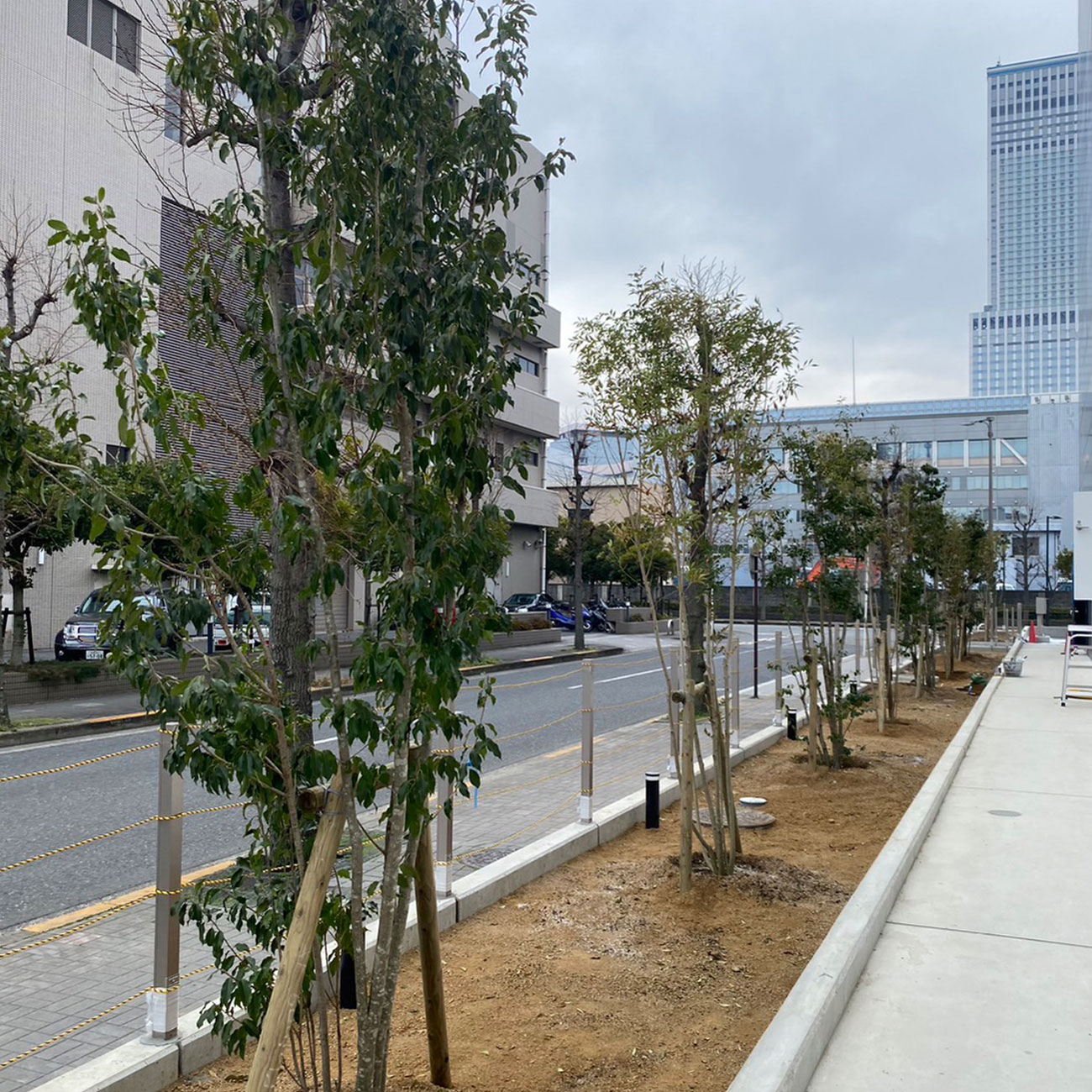 造園工事